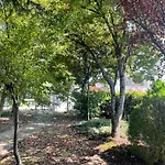 Casa De Lamacais 乡村民宿