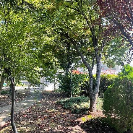 Casa De Lamacais Venkovský dům