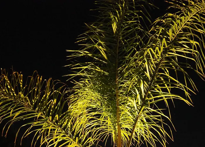 Casa De Lamacais Venkovský dům *